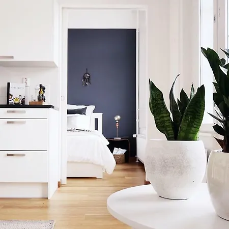 Roost Munkkisaari * Helsinki